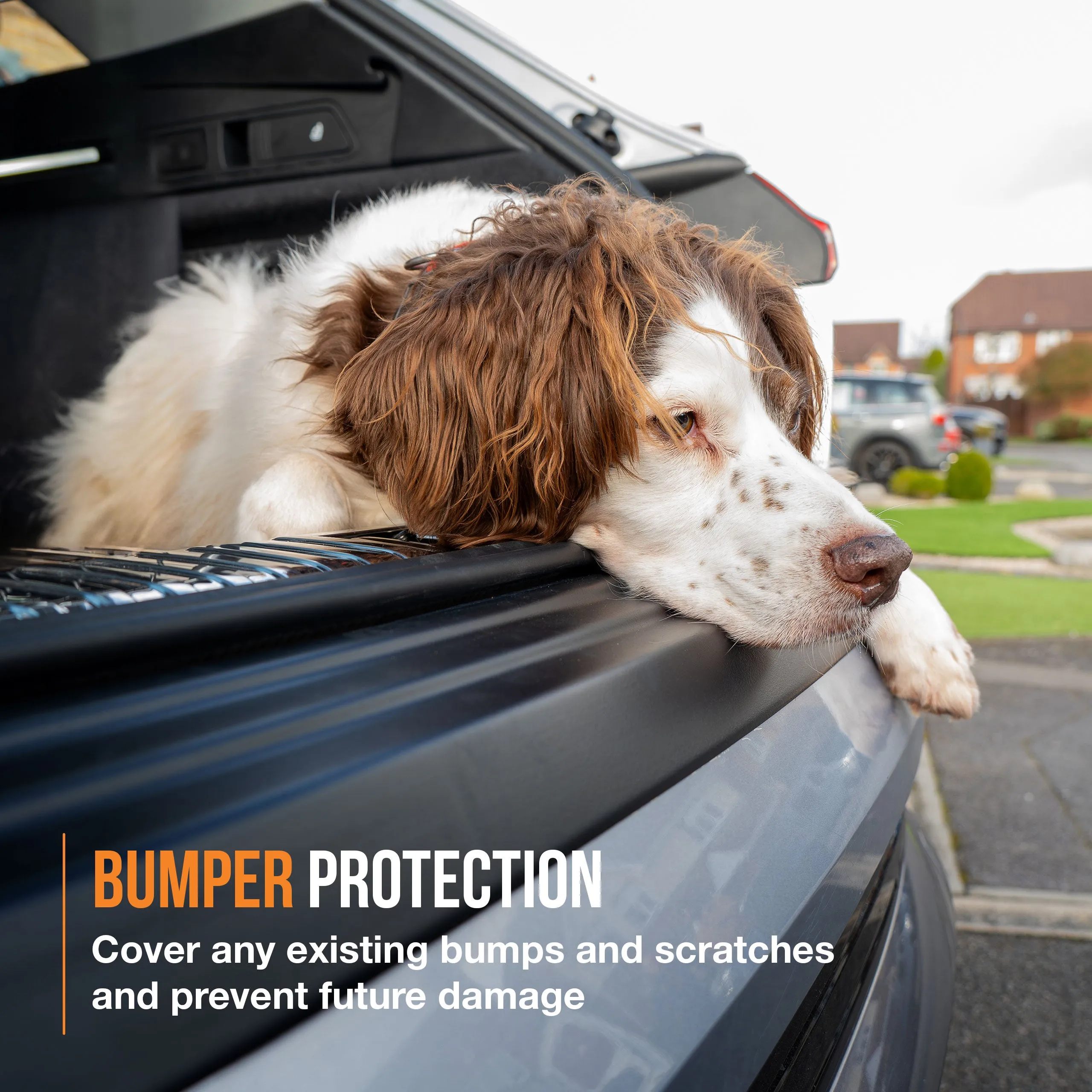 Citroen Spacetourer Bumper Protector (2016-)