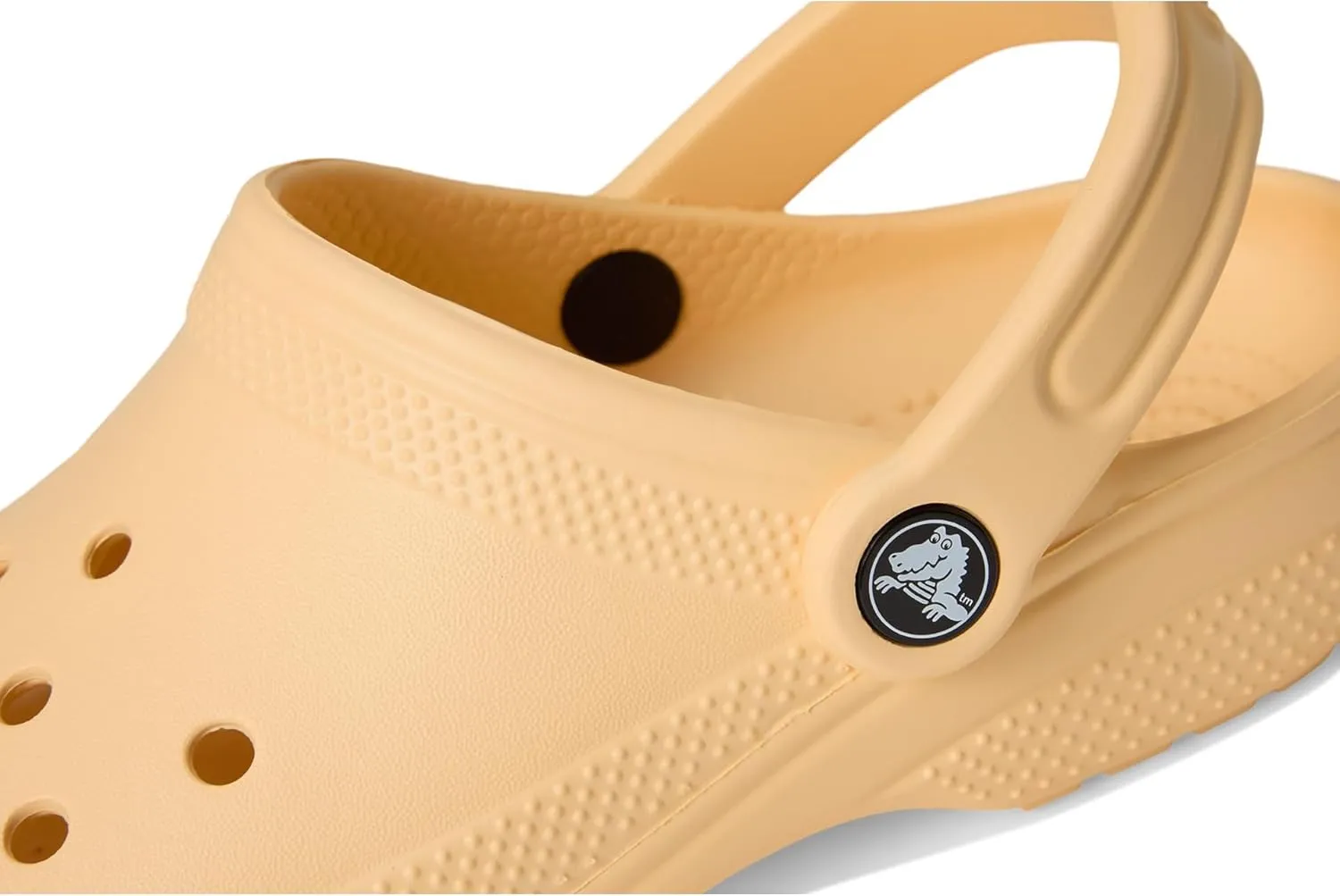 Crocs Unisex-Child Classic Clog (Little Big Kid)