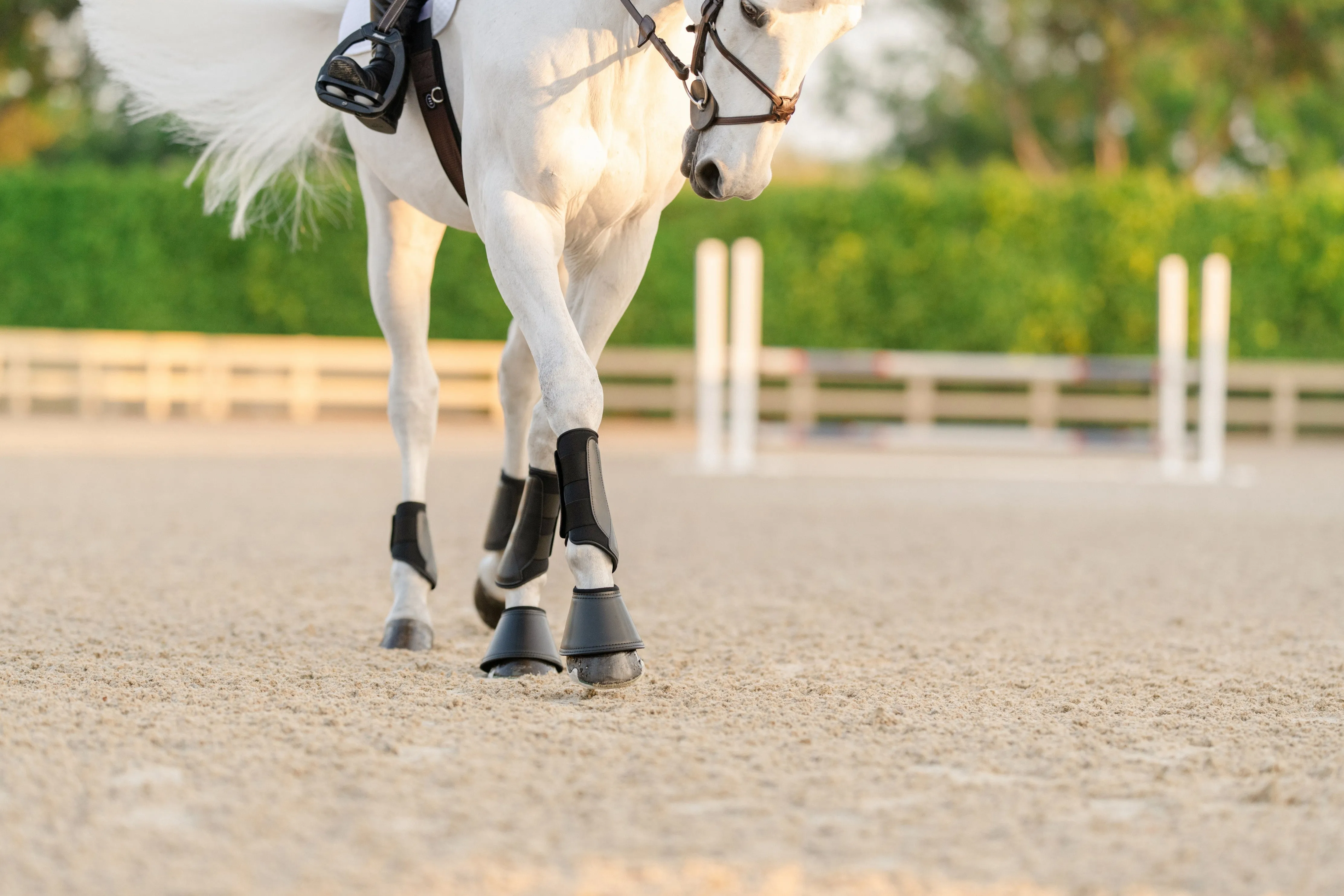 EQUIFIT ESSENTIAL EVERYDAY BOOT FRONT | 11277 | Black |