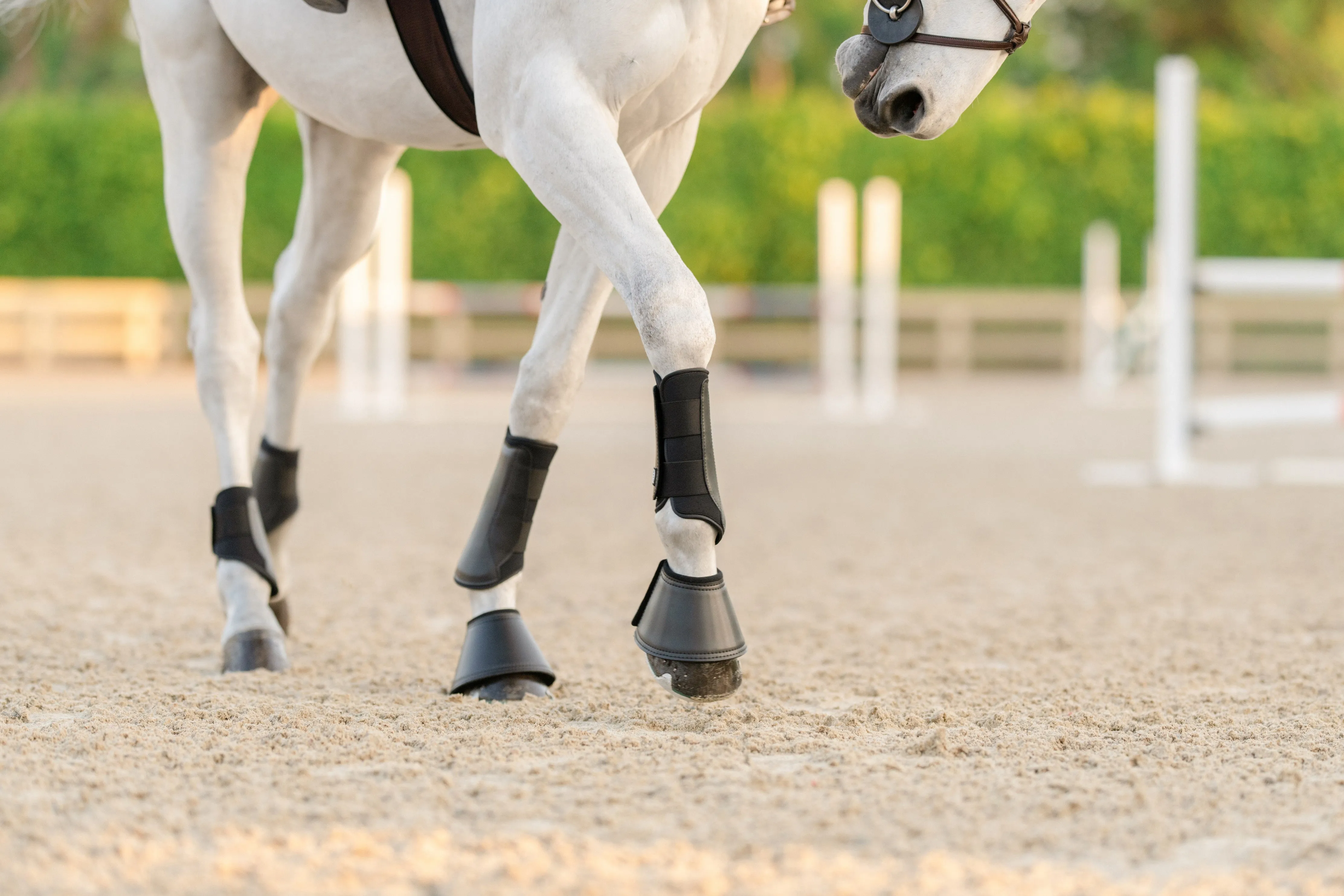 EQUIFIT ESSENTIAL EVERYDAY BOOT FRONT | 11277 | Black |