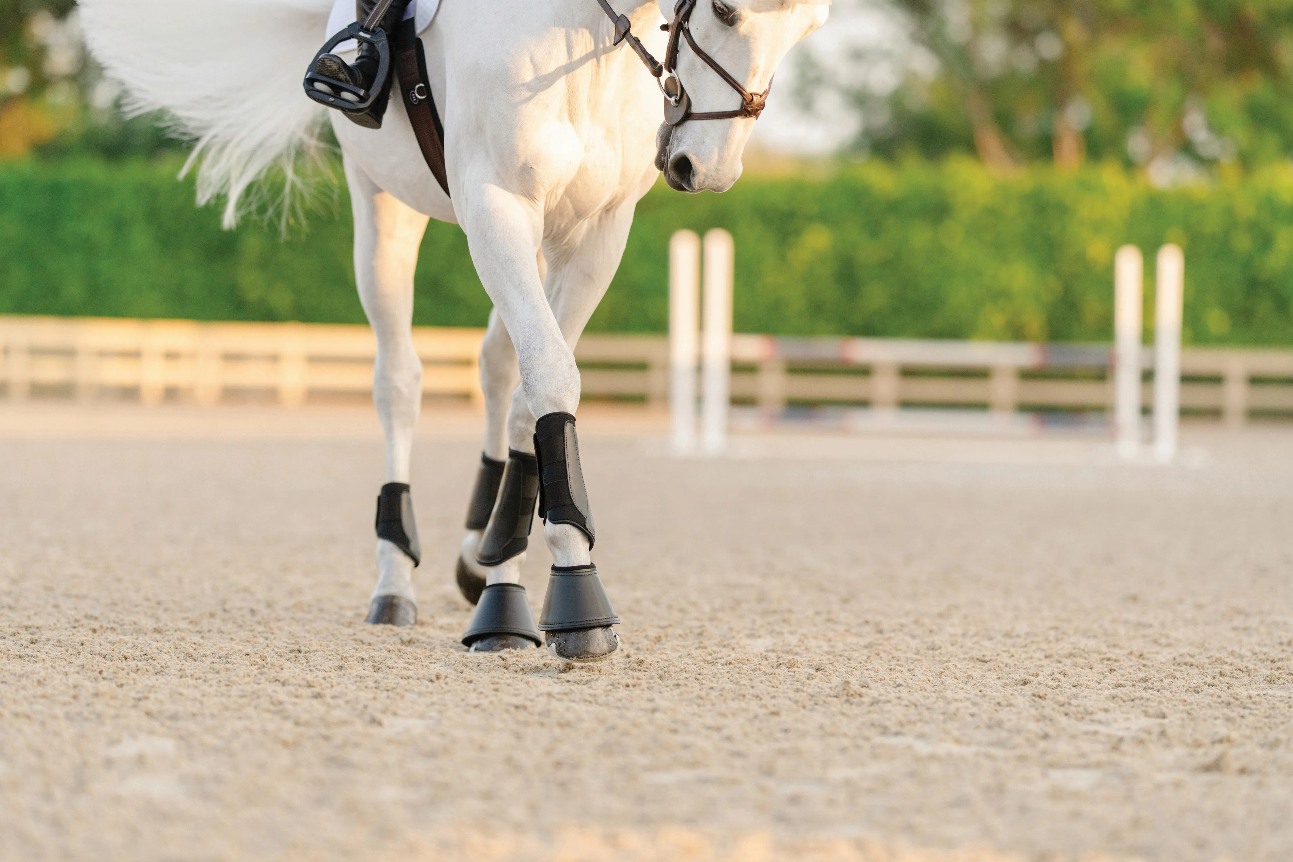 EQUIFIT ESSENTIAL EVERYDAY BOOT FRONT | 11277 | Black |