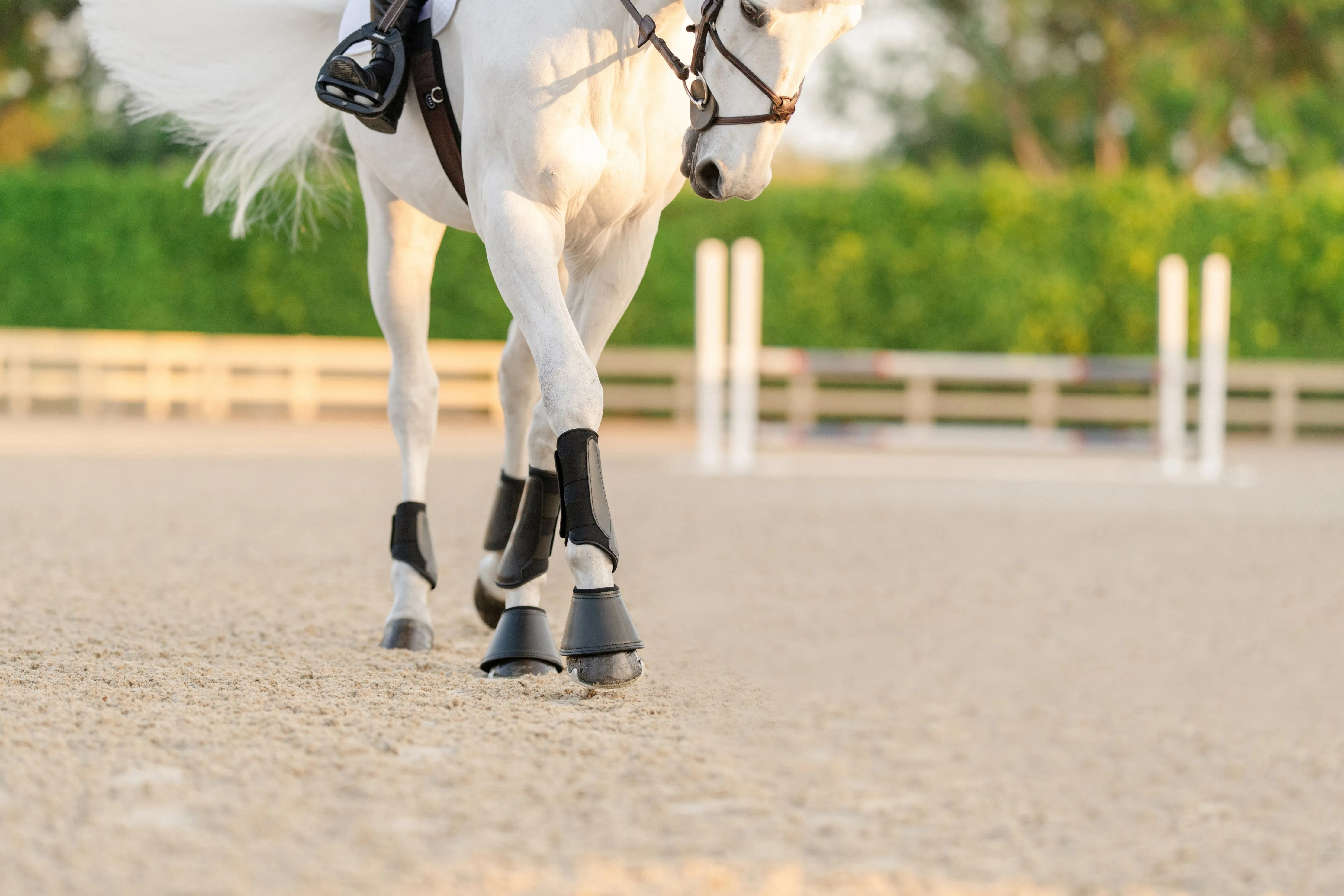 EQUIFIT ESSENTIAL EVERYDAY BOOT FRONT | 11277 | Black |