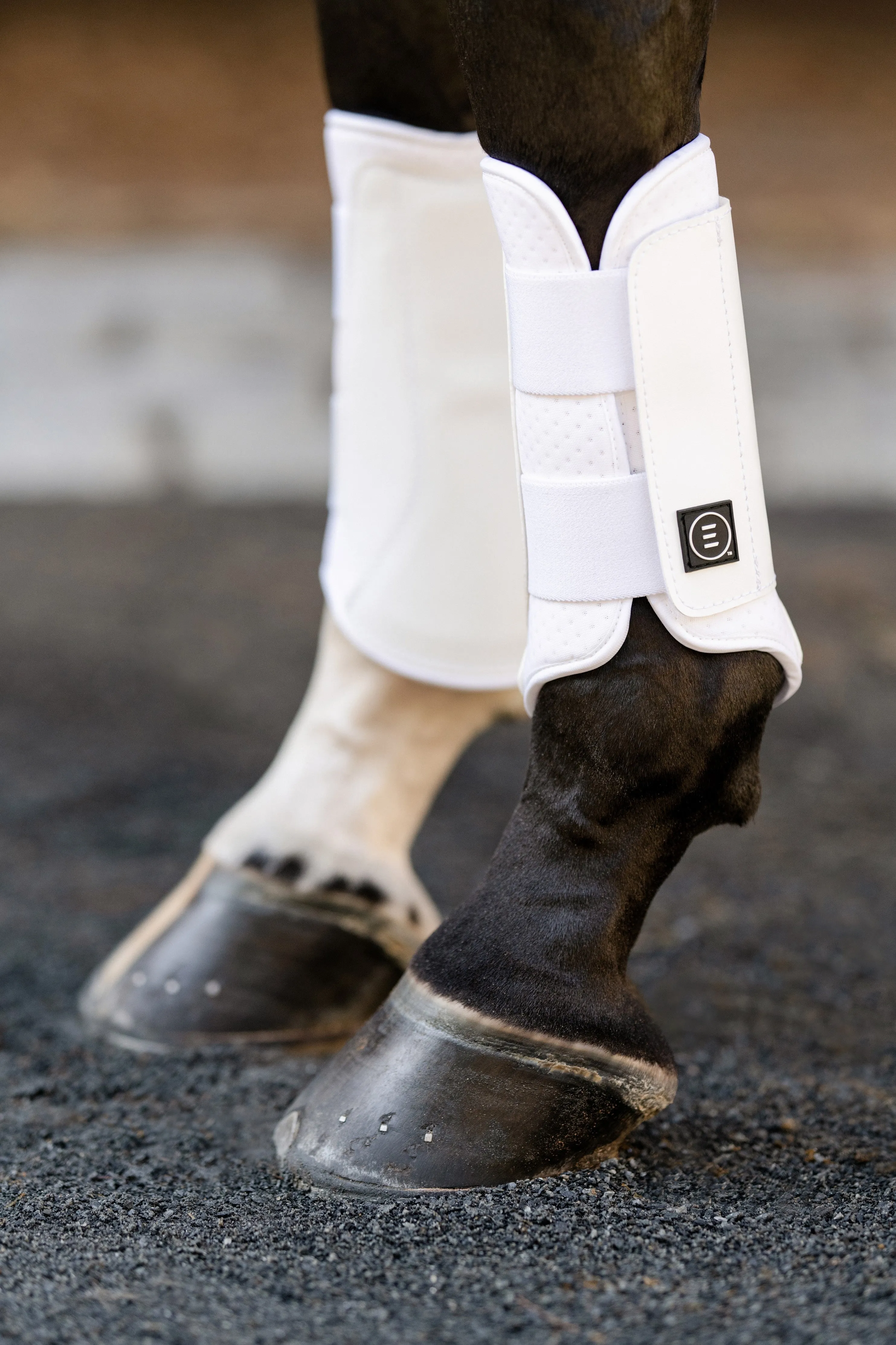 EQUIFIT ESSENTIAL EVERYDAY BOOT FRONT | 11277 | Black |